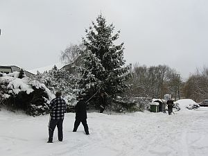 Weihnachtsbaum